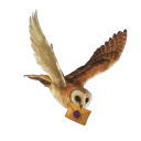 ˖ ﹙ ﹔    𝐇𝐎𝐆𝐖𝐀𝐑𝐓𝐒．¹⁷⁺ Discord server icon