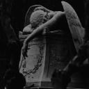 𝓦𝓱𝓲𝓼𝓹𝓮𝓻𝓼 𝓲𝓷 𝓽𝓱𝓮 𝓭𝓪𝓻𝓴𝓷𝓮𝓼𝓼{𝓜𝓾𝓵𝓽𝓲 𝓯𝓪𝓷𝓭𝓸𝓶 𝓡𝓟} Discord server icon