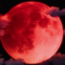 ꒦꒷𝕮𝖗𝖎𝖒𝖘𝖔𝖓 𝕾𝖐𝖎𝖊𝖘꒷꒦ Discord server icon