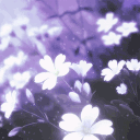 /ful