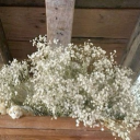 •   ۶ৎ   / 𝐭he 𝐚rchive  . . Discord server icon