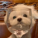 귀찮아 Discord server icon