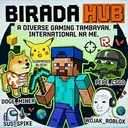 Birada Hub