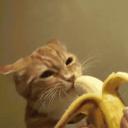 ‘ Go bananas ! `