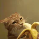 ‘ Go bananas ! `