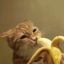 ‘ Go bananas ! `