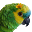 Whimsical Wings  | community . birds . ntox 🪽 Discord server icon