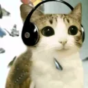 Форте-Мей-Марми