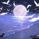 Lunar Reverie Discord server icon