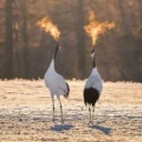 🔥 KD 킬딜 🔥 Discord server icon