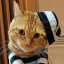 * ≈☆ 𝐀𝐦𝐞𝐫𝐢𝐜𝐚'𝐬 𝐒𝐡𝐢𝐭𝐡𝐨𝐥𝐞 ☆≈ * Discord server icon