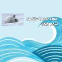 「🦭」Seallys Coast !「🌊」