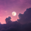 moonlit ⭐ // sfw, ntox, events