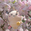 ꒰🪷꒱ ꯱ꫀꪱ꯱huꪀ ⨍ᥣoꭈɑᥣ ᧁɑrժꫀꪀ Discord server icon