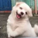 s0methingthere