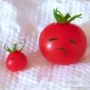﹕ ꒰ა  HETALIANS .ᐟ  ֹ   ₊