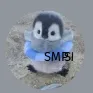 Chonnis SMP
