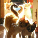 ݁ ˖Ი𐑼⋆ everlasting stars Discord server icon