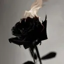 🧪 Black Rose Laboratory