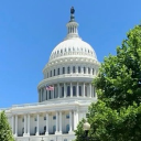 Democracy Platfrom Discord server icon