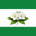 Third Syrian Opposition (2026-Present) Discord Server