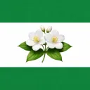 Third Syrian Opposition (2026-Present) Discord Server