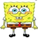 spiderr Discord server icon