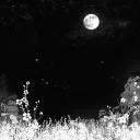 Nocturne Society