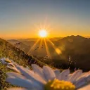 New dawn
