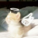 . ݁₊ ⊹ . ݁  ꒰ྀི১ 𝑇𝑤𝑖𝑥 ໒꒱ིྀ ݁ . ⊹ ₊ ݁. Discord server icon