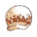 ☆. ゃ Polar Tang !! ::