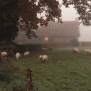 ִ     🌲   ⨟   𝒘𝒊𝒏𝒕𝒆𝒓𝒔𝒗𝒊𝒍𝒍𝒆    𓊇𓈒  ໑ Discord server icon