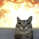 cat explode Discord server icon