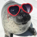 Group Of Silly Seals Discord server icon
