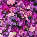 ೀ܀⊹˙┆𝓟𝓻𝓸𝓫𝓪𝓫𝓵𝔂 𝓐𝓼𝓵𝓮𝓮𝓹 2┆˙⊹܀ೀ Discord server icon