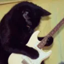 whiskersz ! discord icon