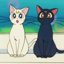 Cat Café ᓚᘏᗢ Discord server icon