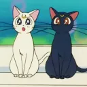 Cat Café ᓚᘏᗢ discord icon