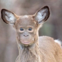 plots ; ☠ Discord server icon