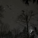 Rat King Discord server icon