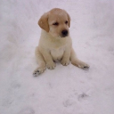 Looking!! 😛 Discord server icon