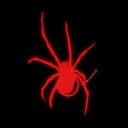 /spiders Discord server icon