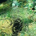 MOSS WAVE