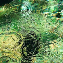 MOSS WAVE Discord server icon