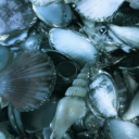 🫧⋆｡˚ ᦓꪮꪀᧁ ꪮᠻ ꪻꫝꫀ ᦓꫀꪖ °‧🫧⋆.ೃ࿔*:･ Discord server icon