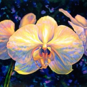 Orchid City Discord server icon