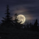 Lullaby Cozy Retreat Discord server icon