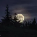 Lullaby Cozy Retreat