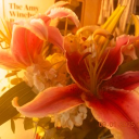 Calista Shores Discord server icon