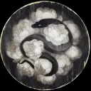 Amphisbaena.